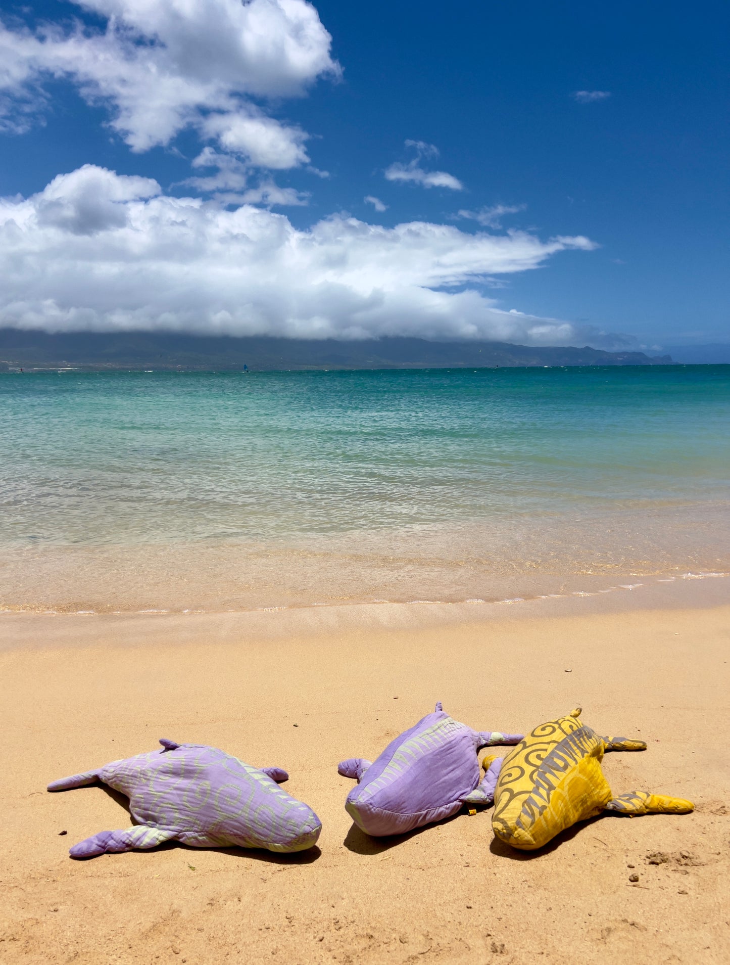 Traditional Purple/Emerald Beach Robe in a Whale Shape Bag